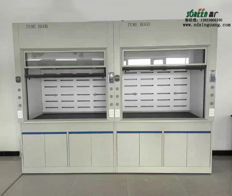 山東實驗室家具通風柜廠家全鋼pp通風櫥供應