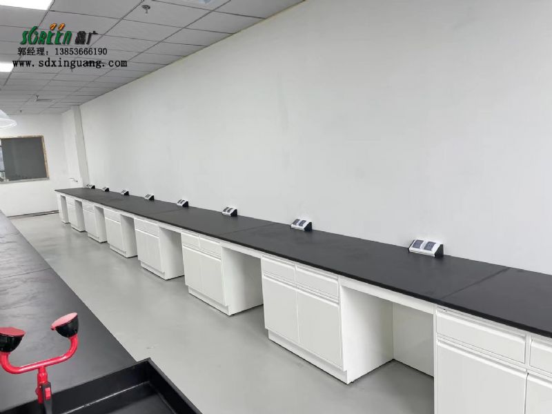 濰坊試驗(yàn)臺(tái)廠家實(shí)驗(yàn)臺(tái)家具全鋼試劑柜廠家供應(yīng)