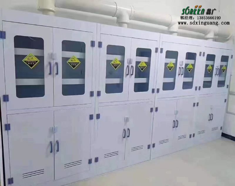 山東實(shí)驗(yàn)室家具 pp試劑柜 防腐儲(chǔ)物柜廠家